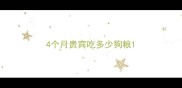 4个月贵宾吃多少狗粮
