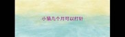 小猫几个月可以打针