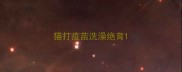 猫打疫苗洗澡绝育