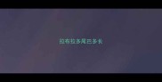 拉布拉多尾巴多长