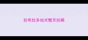 拉布拉多幼犬整天拉稀
