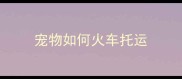 宠物如何火车托运