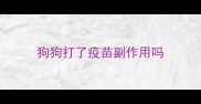 狗狗打了疫苗副作用吗