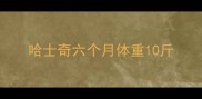 哈士奇六个月体重10斤
