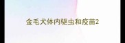 金毛犬体内驱虫和疫苗