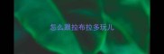 怎么跟拉布拉多玩儿