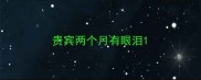 贵宾两个月有眼泪