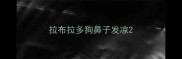 拉布拉多狗鼻子发凉