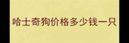 哈士奇狗价格多少钱一只