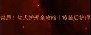 疫苗后吹风禁忌幼犬护理全攻略疫苗后护理必看指南
