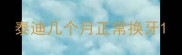 泰迪几个月正常换牙