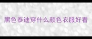 黑色泰迪穿什么颜色衣服好看