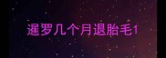 暹罗几个月退胎毛