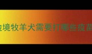 边境牧羊犬需要打哪些疫苗