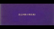 怎么判断小狗生病