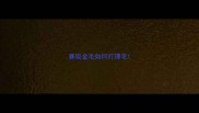 赛级金毛如何打理毛