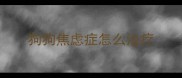 狗狗焦虑症怎么治疗