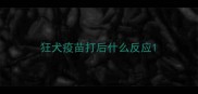 狂犬疫苗打后什么反应