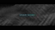 边牧是哪个地区卖的