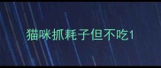 猫咪抓耗子但不吃
