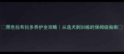 黑色拉布拉多养护全攻略从选犬到训练的保姆级指南