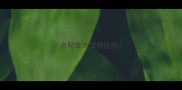 合肥最大宠物医院