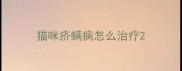 猫咪疥螨病怎么治疗