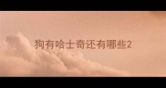 狗有哈士奇还有哪些