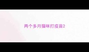两个多月猫咪打疫苗