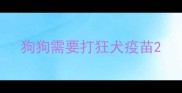狗狗需要打狂犬疫苗