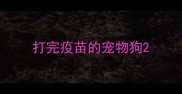 打完疫苗的宠物狗