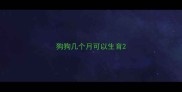 狗狗几个月可以生育