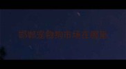 邯郸宠物狗市场在哪里