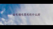 金毛增毛亮毛吃什么好