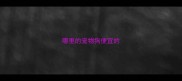哪里的宠物狗便宜的