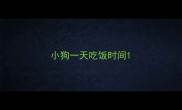 小狗一天吃饭时间