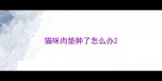 猫咪肉垫肿了怎么办