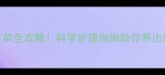 泰迪犬驱虫疫苗全攻略科学护理指南助你养出健康活泼小可爱