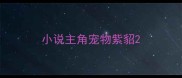 小说主角宠物紫貂