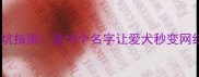 拉布拉多稀有名字避坑指南这10个名字让爱犬秒变网红附起名全攻略