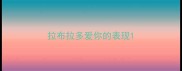 拉布拉多爱你的表现