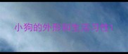 小狗的外形和生活习性