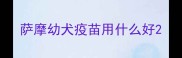 萨摩幼犬疫苗用什么好