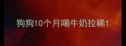 狗狗10个月喝牛奶拉稀