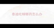 泰迪吃蟑螂药怎么办