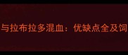 金毛犬与拉布拉多混血优缺点全及饲养指南