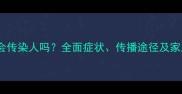猫咪毛囊炎会传染人吗全面症状传播途径及家庭预防指南