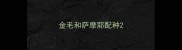 金毛和萨摩耶配种