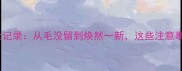 边境牧羊犬剃毛全记录从毛没留到焕然一新这些注意事项千万别错过