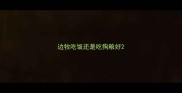 边牧吃饭还是吃狗粮好